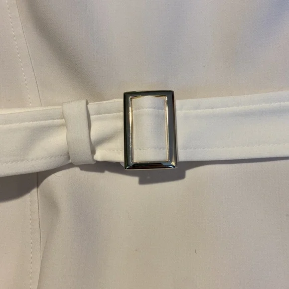 WHBM Belted Fit-And-Flare Dress - Picture 5 of 11